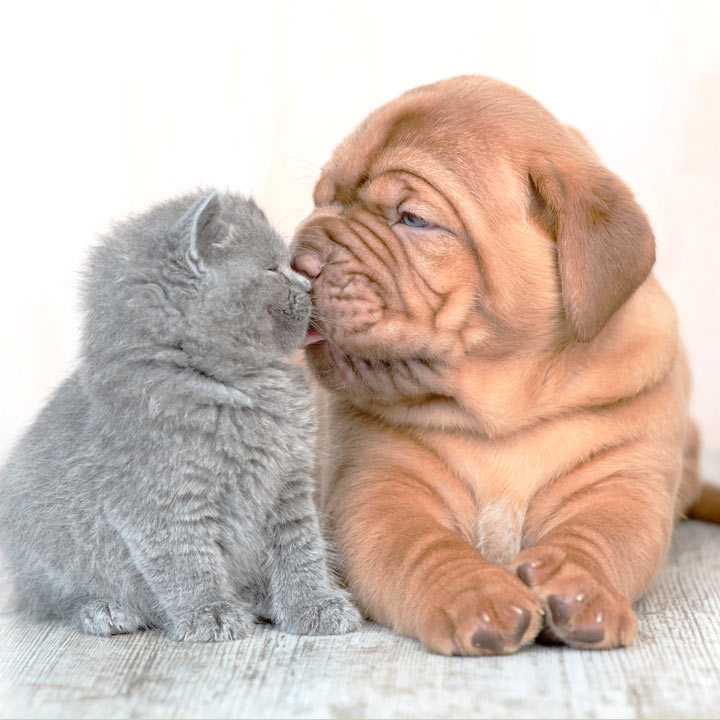 当院についてimage