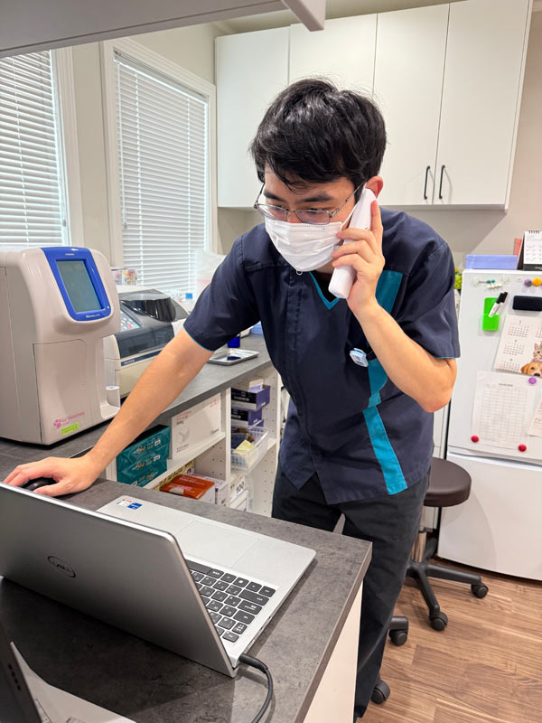 わんにゃんドックを受ける時の流れ 1,お電話にて受付