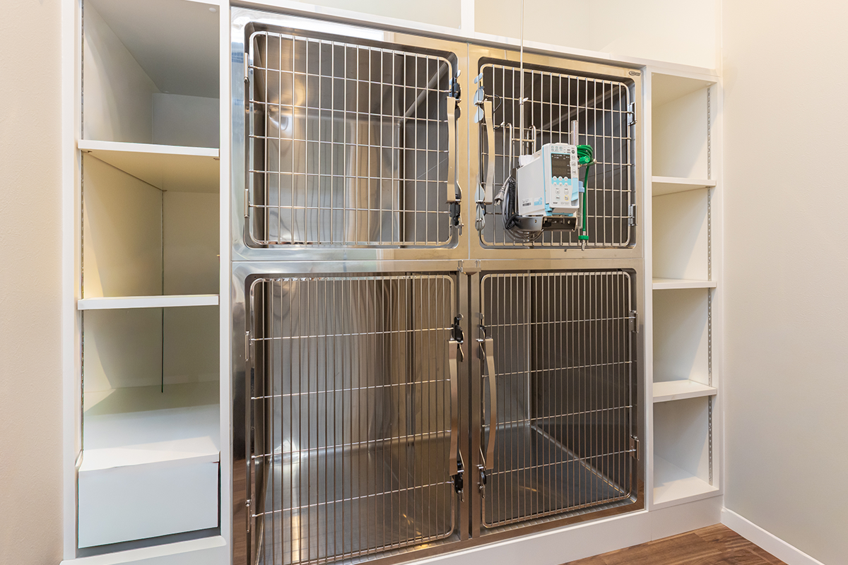 学園前どうぶつ病院の「診療案内」画像