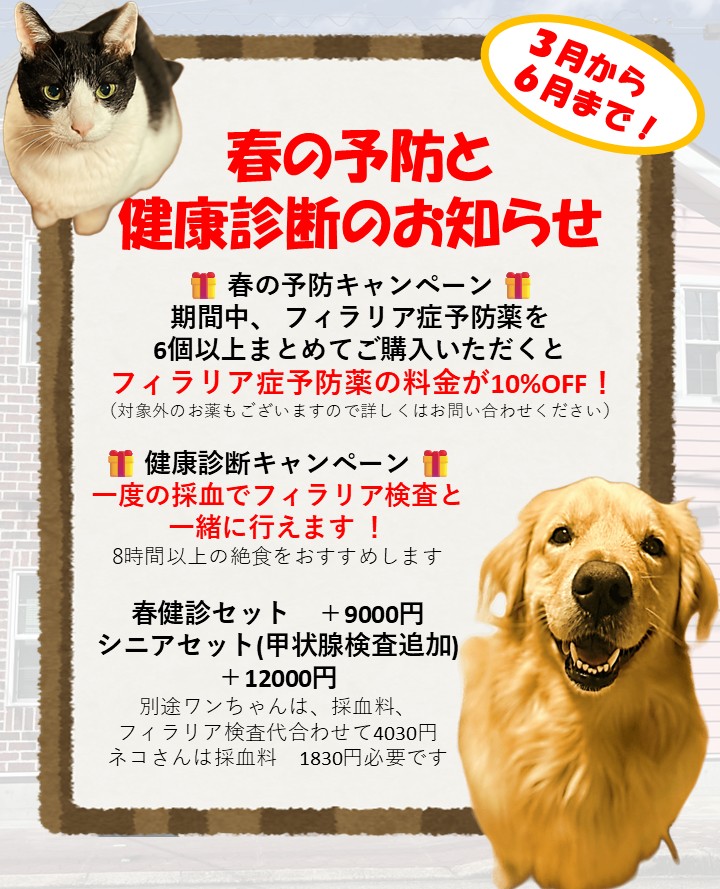 学園前どうぶつ病院の「春の予防、健康診断キャンペーン」画像